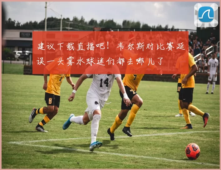 建议下载直播吧！韦尔斯对比赛延误一头雾水球迷们都去哪儿了