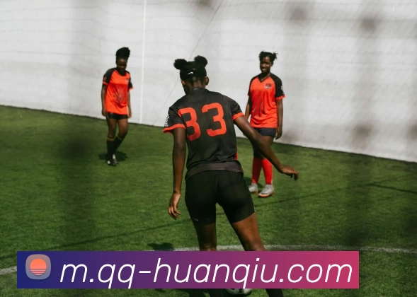 环球体育平台生态图